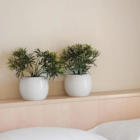 Di Caprio - Cosy Flat In Middelkerke